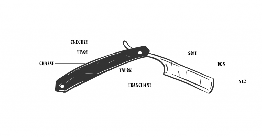 Coupe Chou Def 1024x535 1
